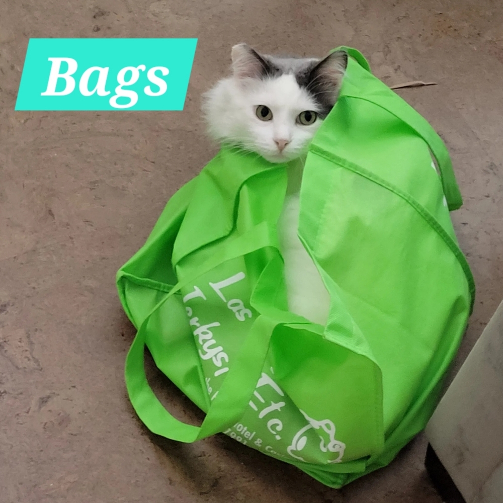Bags